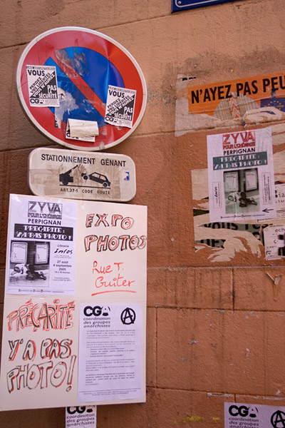 _MG_7339.jpg