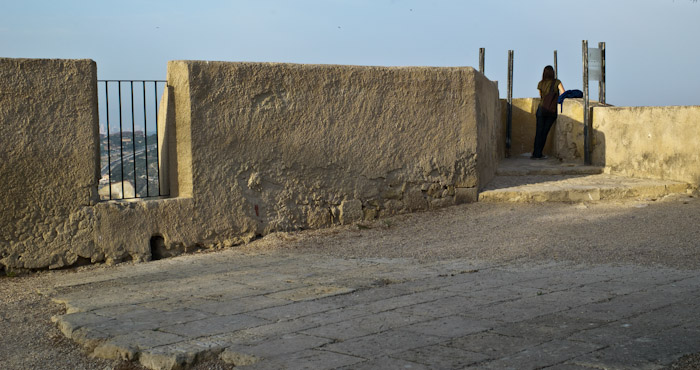L1004486