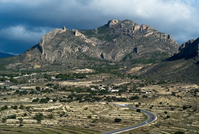 L1001347