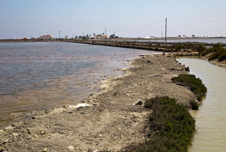 L1006961