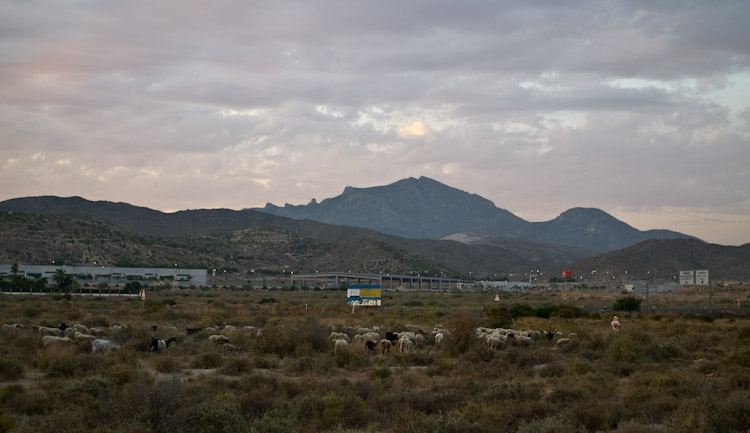 L1007083