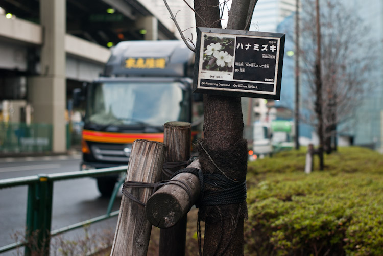 L1003707
