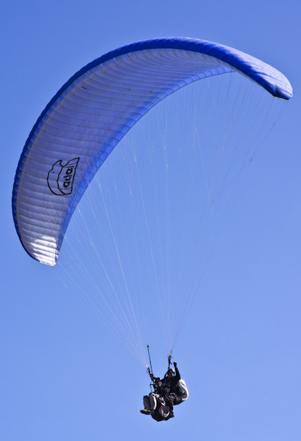 IGP4400