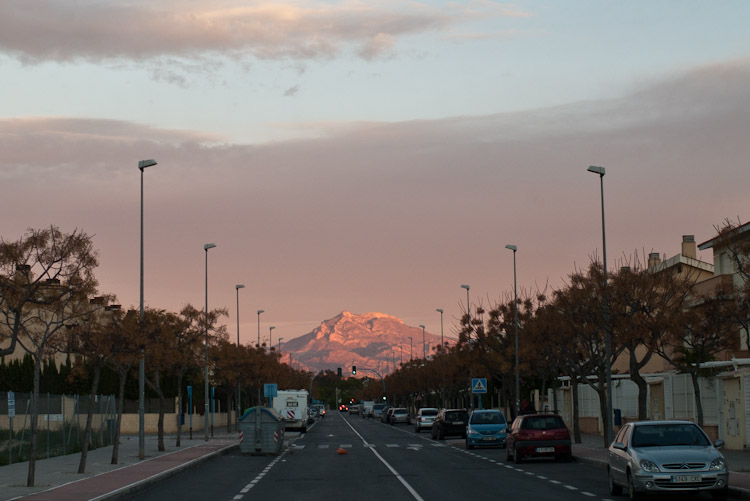 L1008450