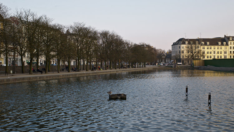 L1009560