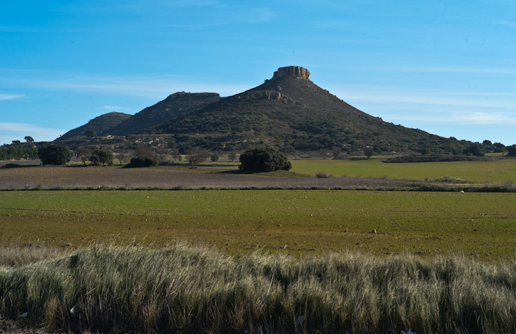 L1008799