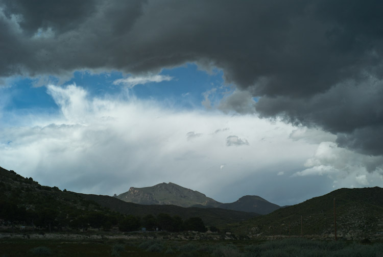 L1009659