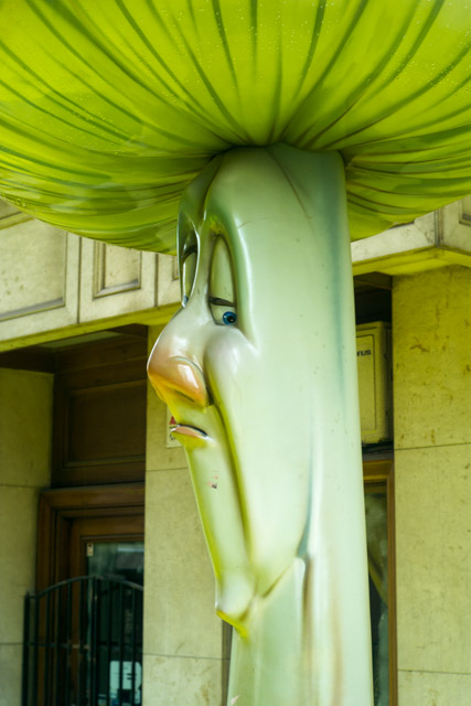 L1010243