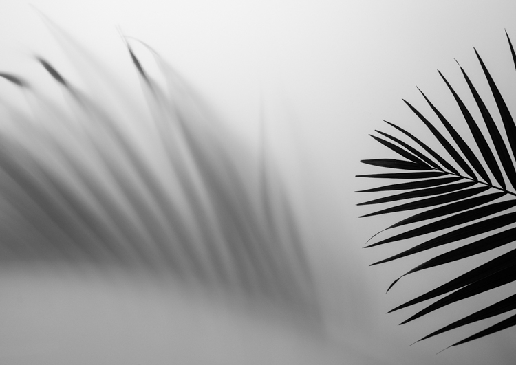 R001234