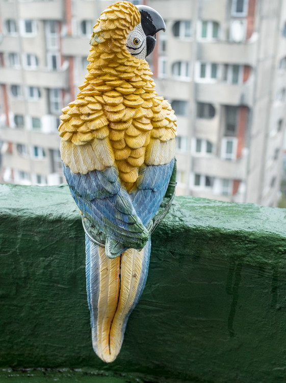 R002381