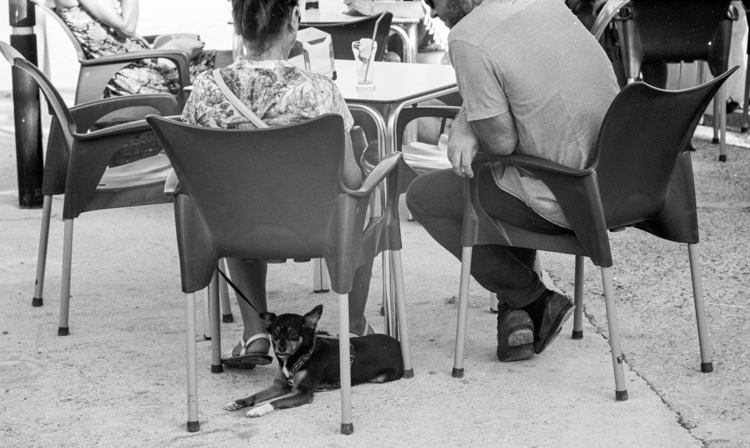 Acros_2016_2_5