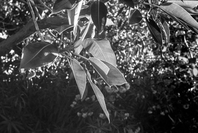 Acros_2016_2_26