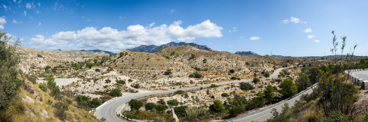 R000255pano