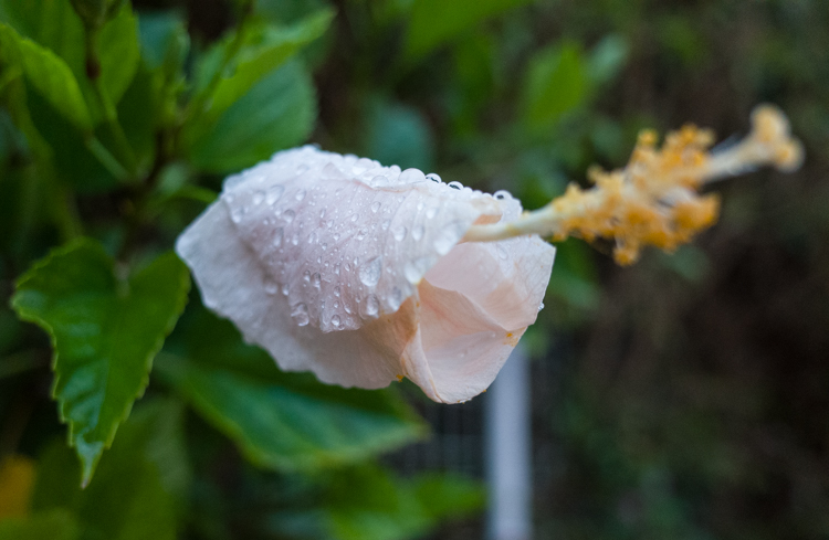 R000293