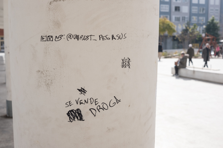 DSF0689