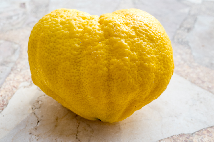 R003888