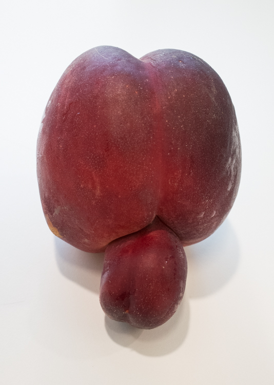 R004295
