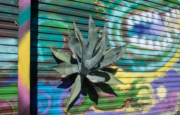 R003258
