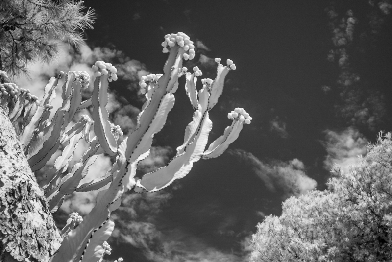 L1014230