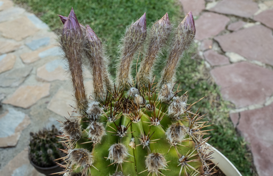 R007757