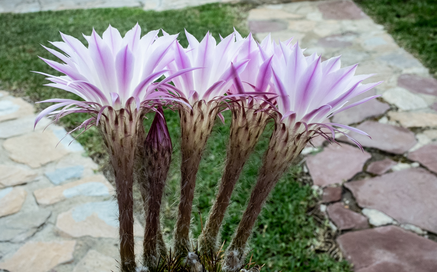 R007760