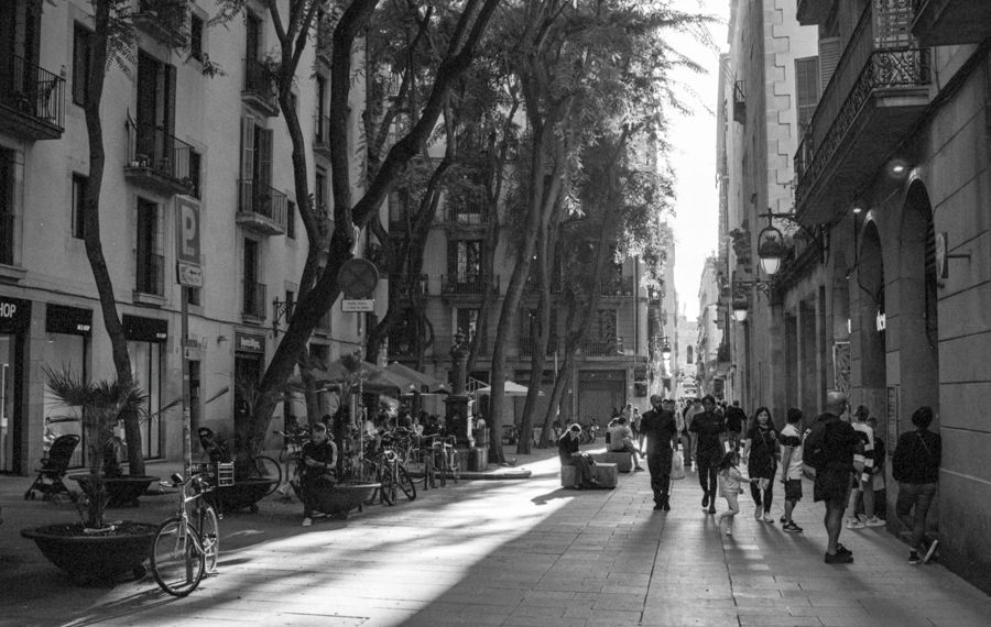 Delta100_2023_14_4