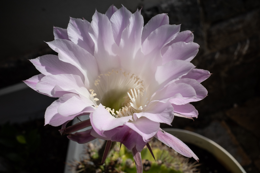 R000456