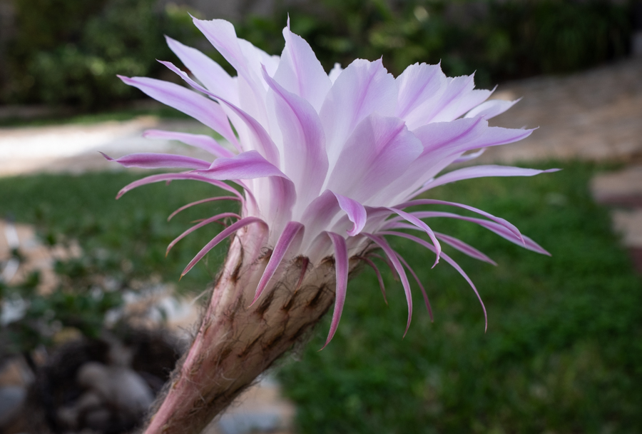 R000589