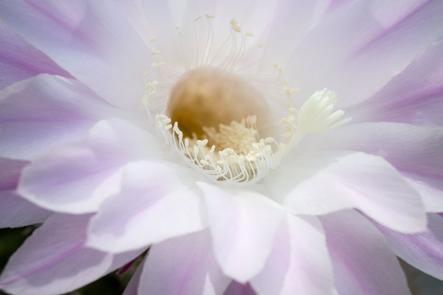R000587