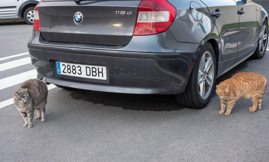 DSF4379