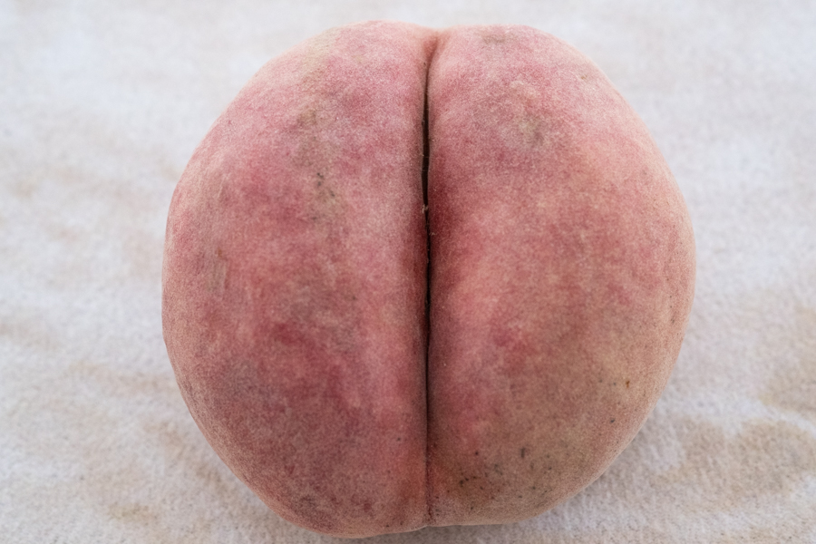 DSF0043