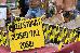_MG_6423.jpg